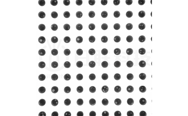 bga增强后（带水?。?png